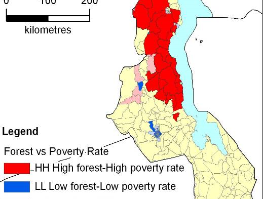 Management of Miombo Forests